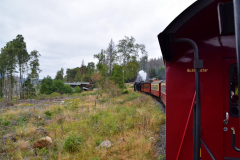 DSC_0080cp