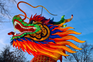 China Lights Tiergarten Kleve