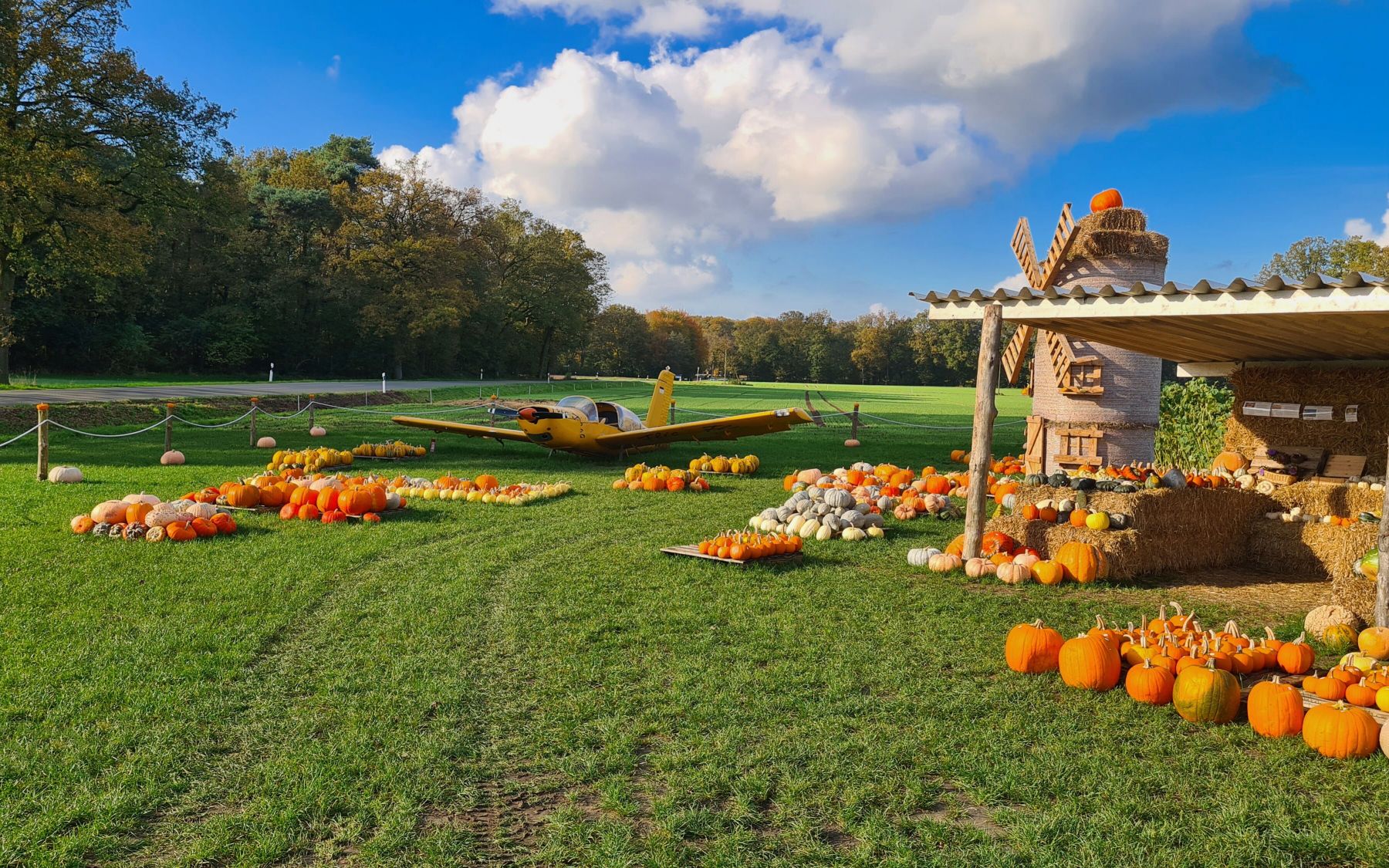 Flic-Flac-Flugzeug im Feld bei Hullern