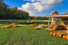 Flic-Flac-Flugzeug im Feld bei Hullern
