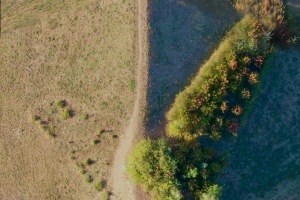 Droneception
