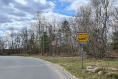 Good bye, Ferropolis!