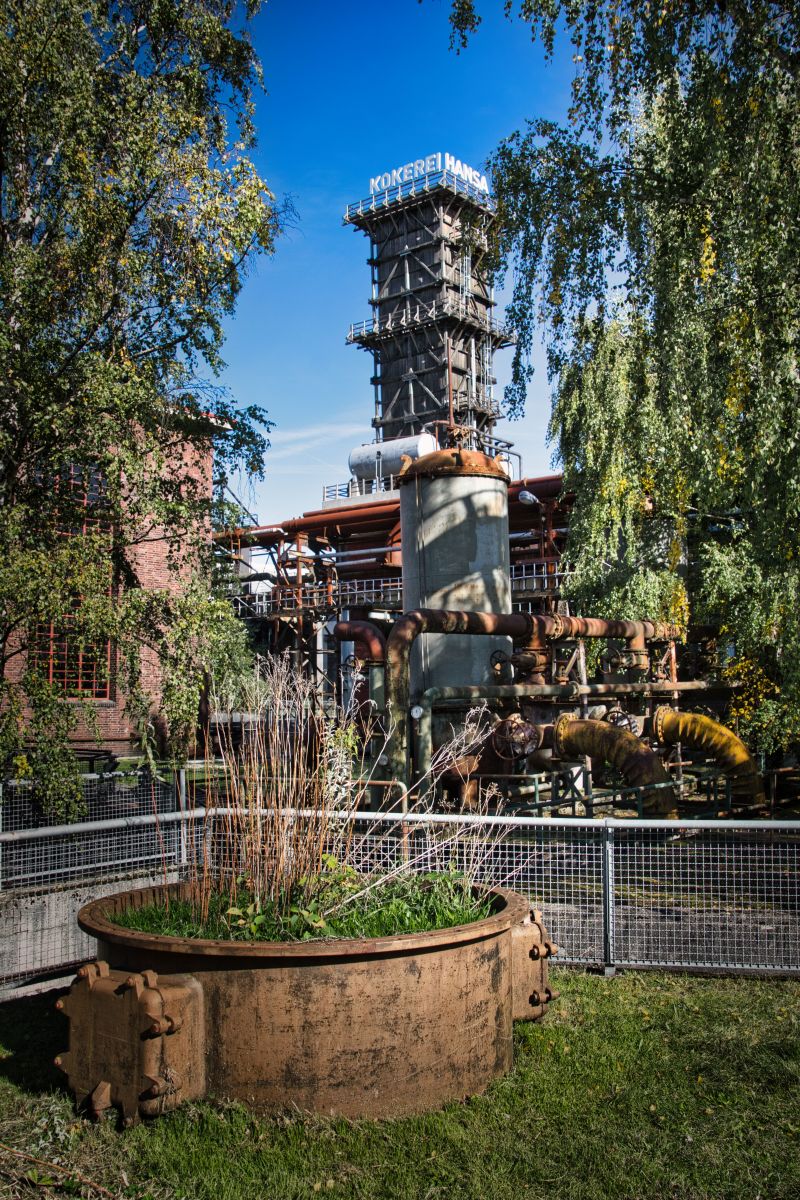 DSC_0260neo