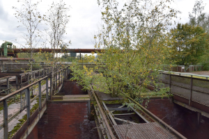 Landschaftspark Duisburg Nord - Natur