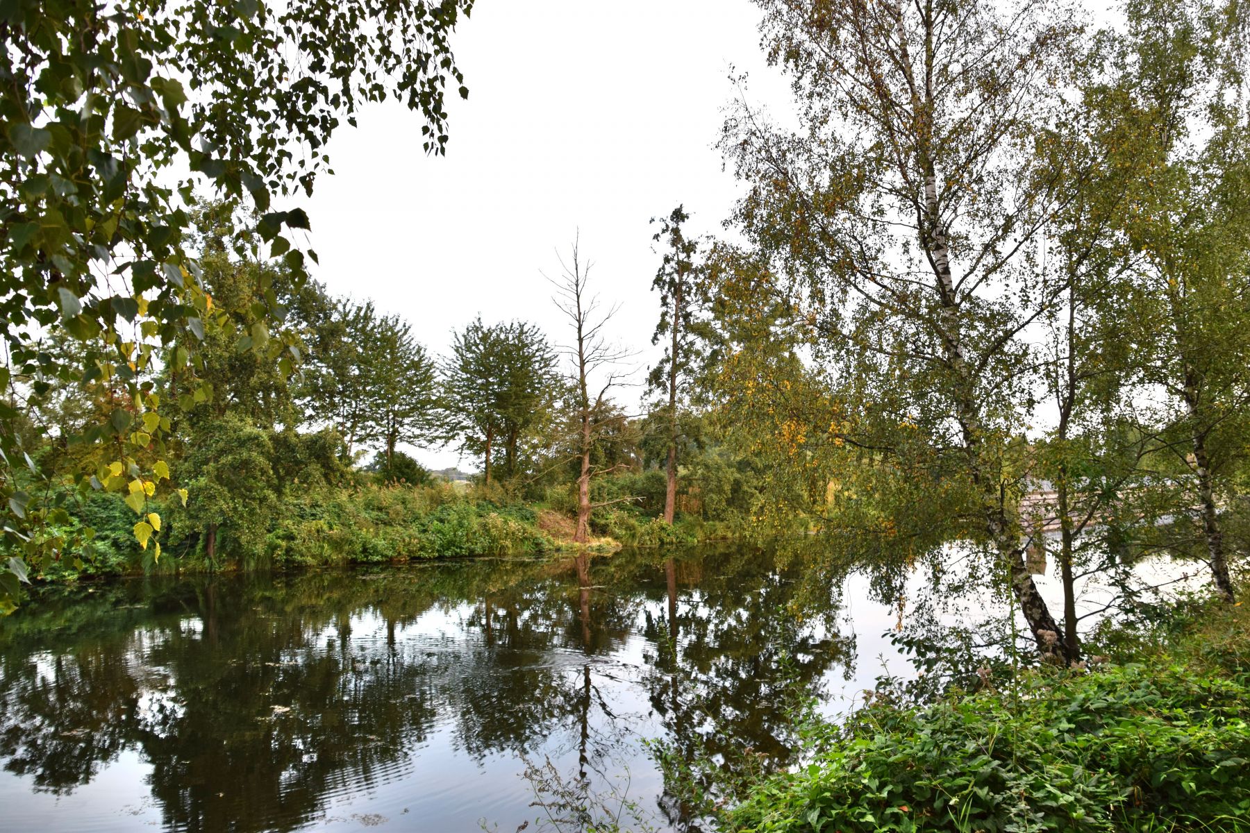 DSC_0113cp_shp