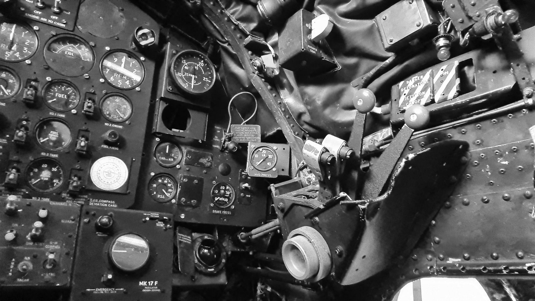 20241025_155322neo_bw