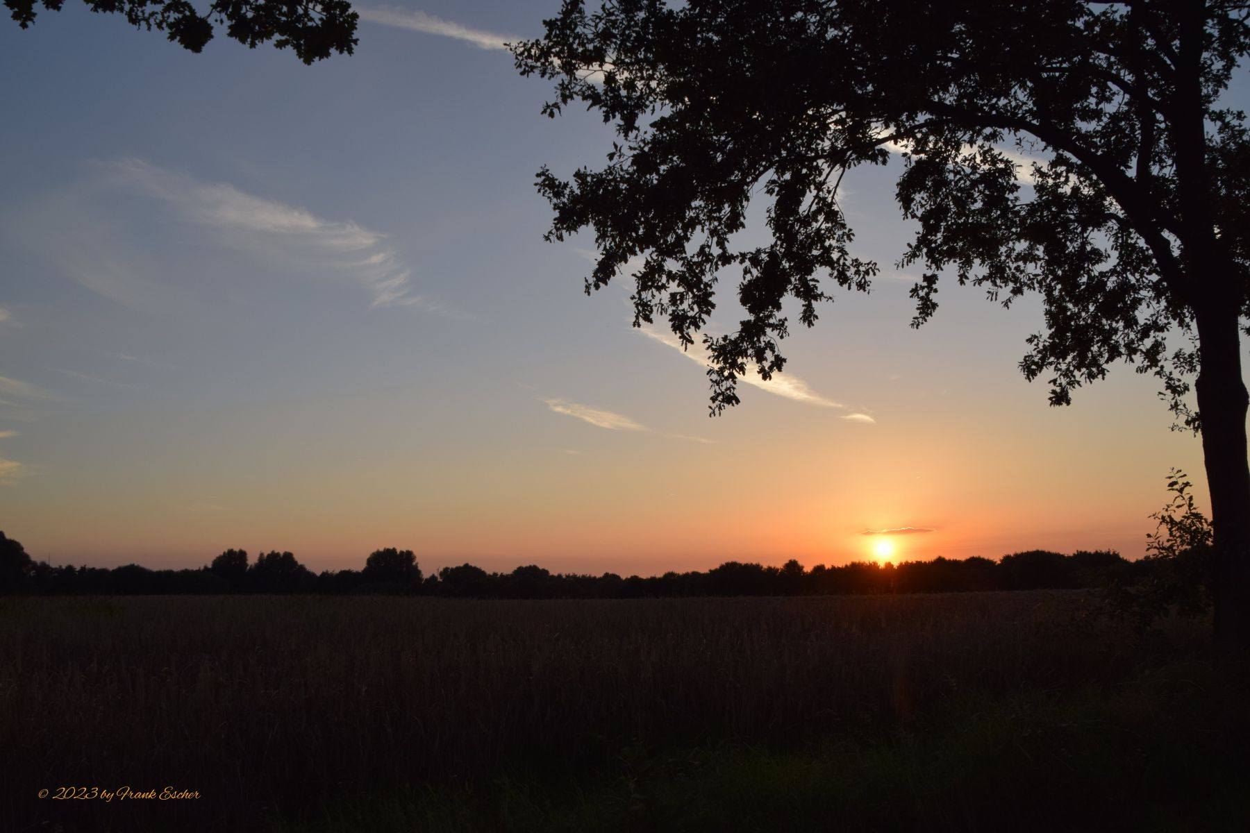 DSC_0264_v1