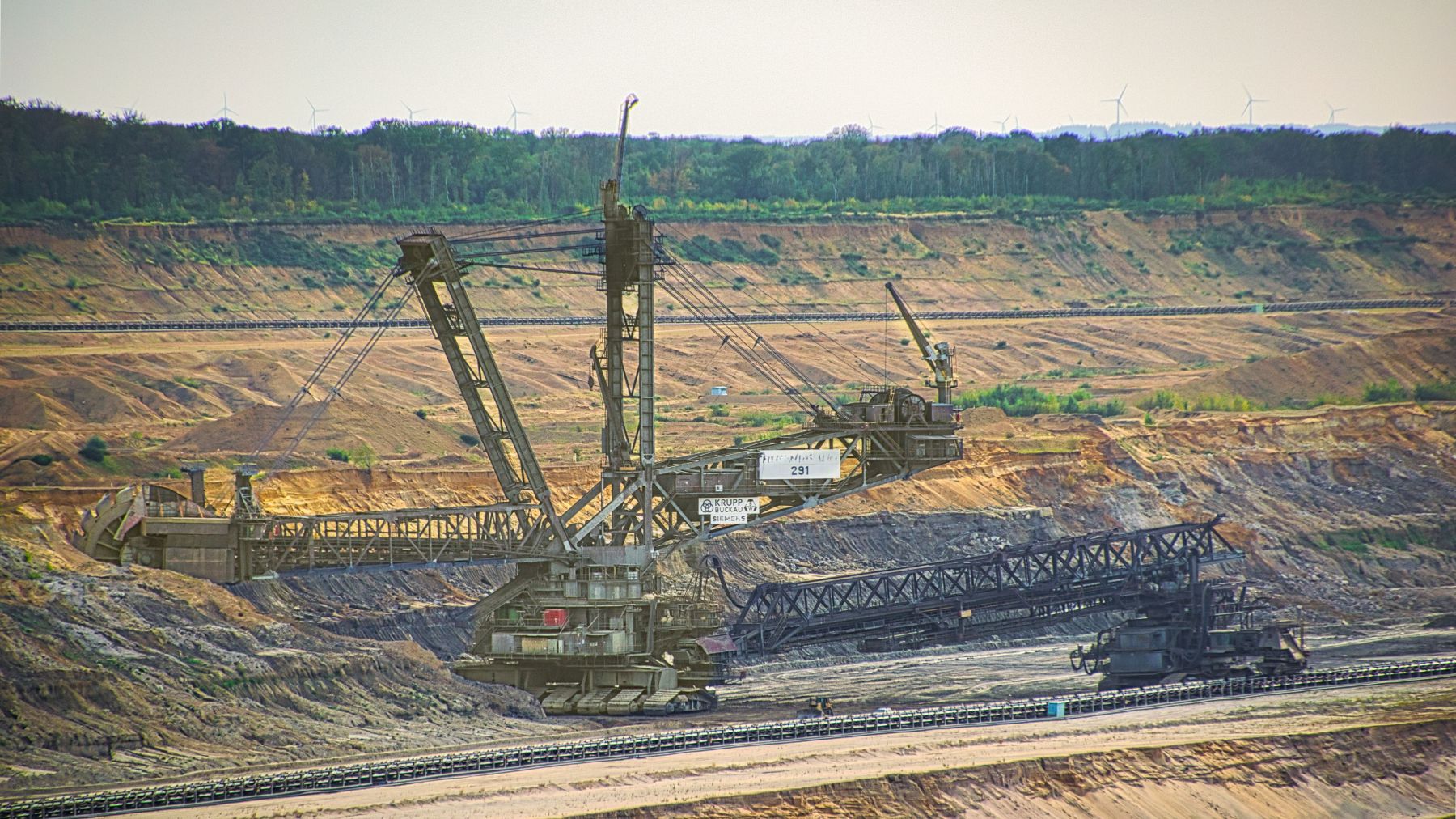 DSC_0478neo