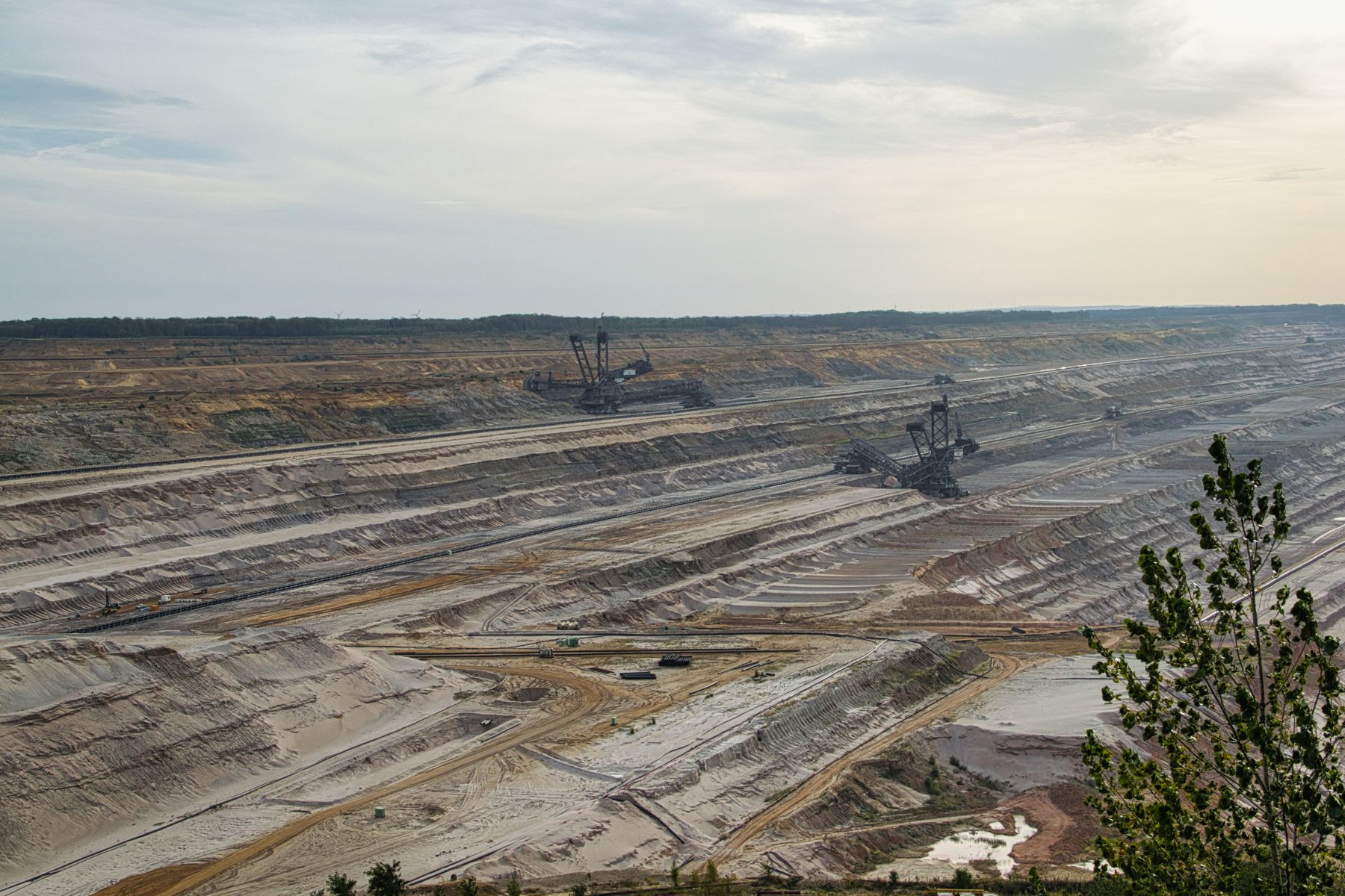 Blick über den Tagebau Hambach von :terra nova 1