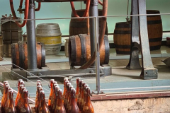 20250914_154314neo-1