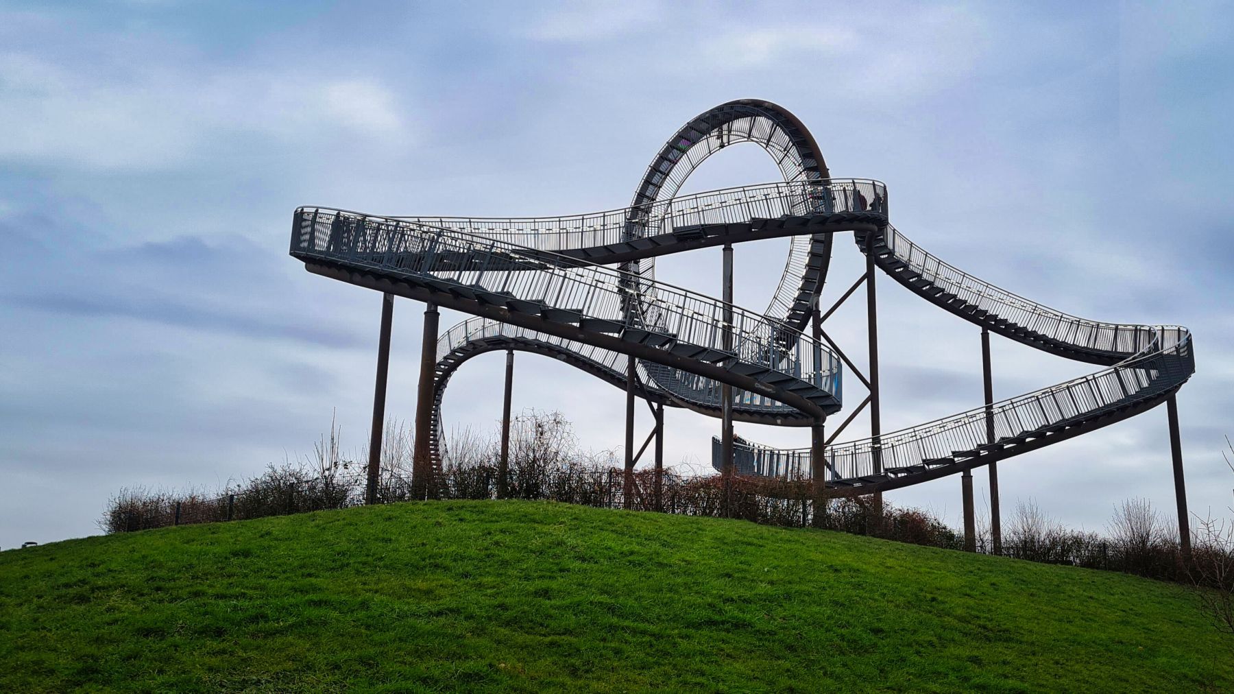 Tiger and Turtle