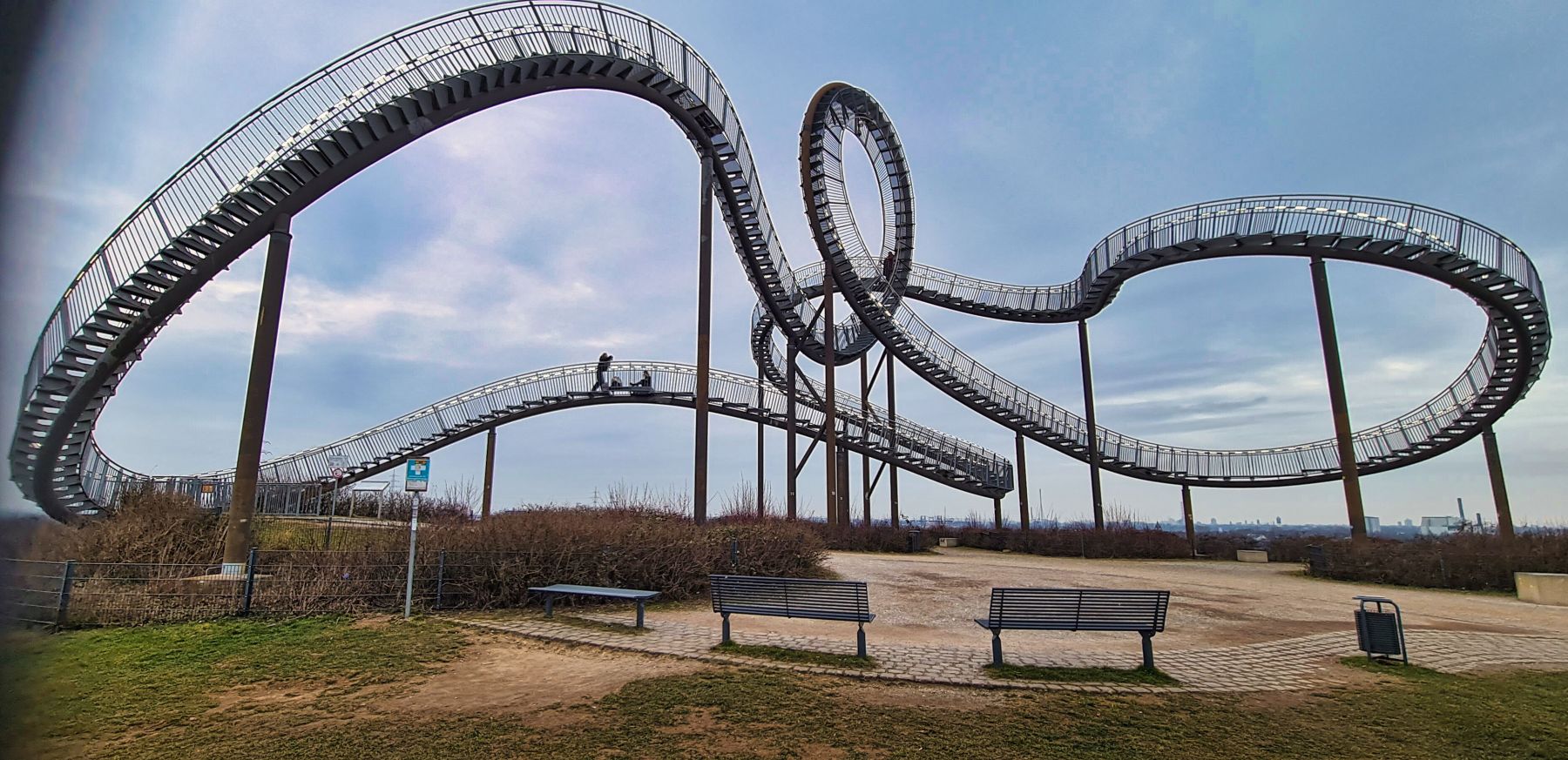Tiger and Turtle
