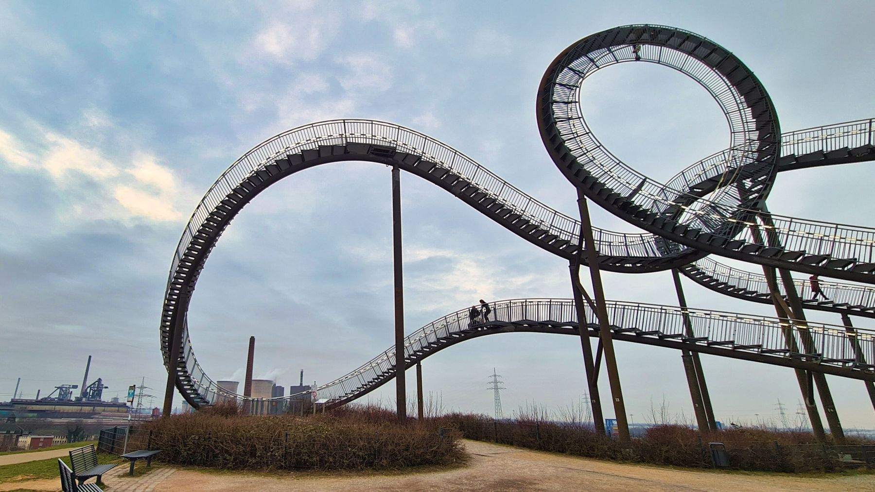 Tiger and Turtle