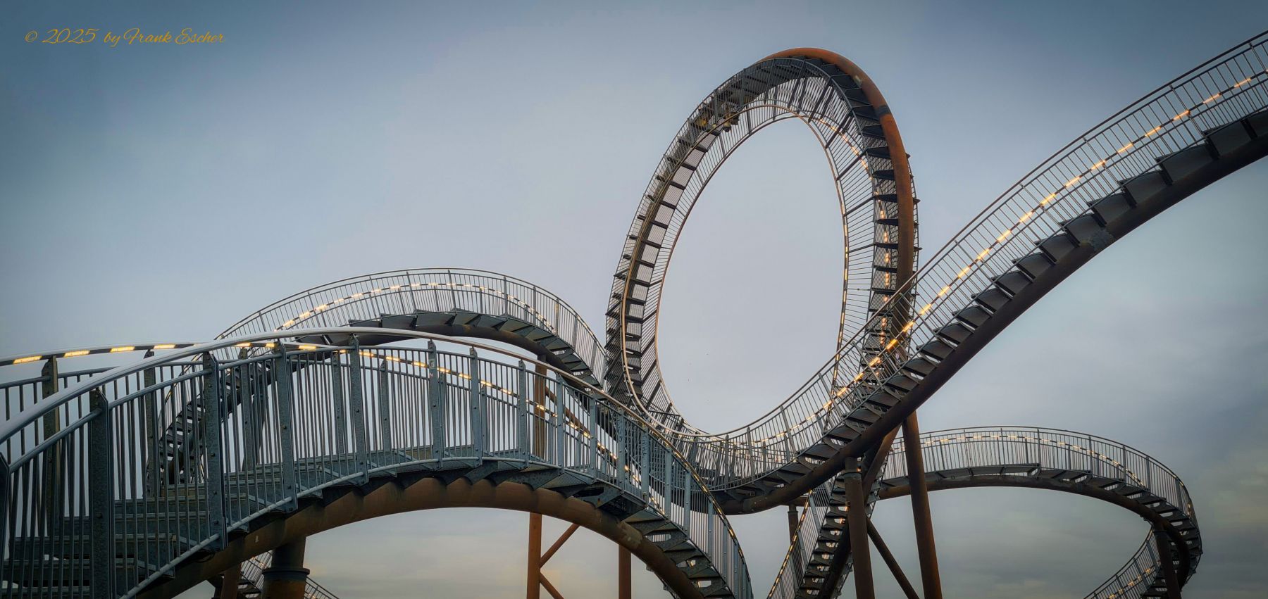 Tiger and Turtle