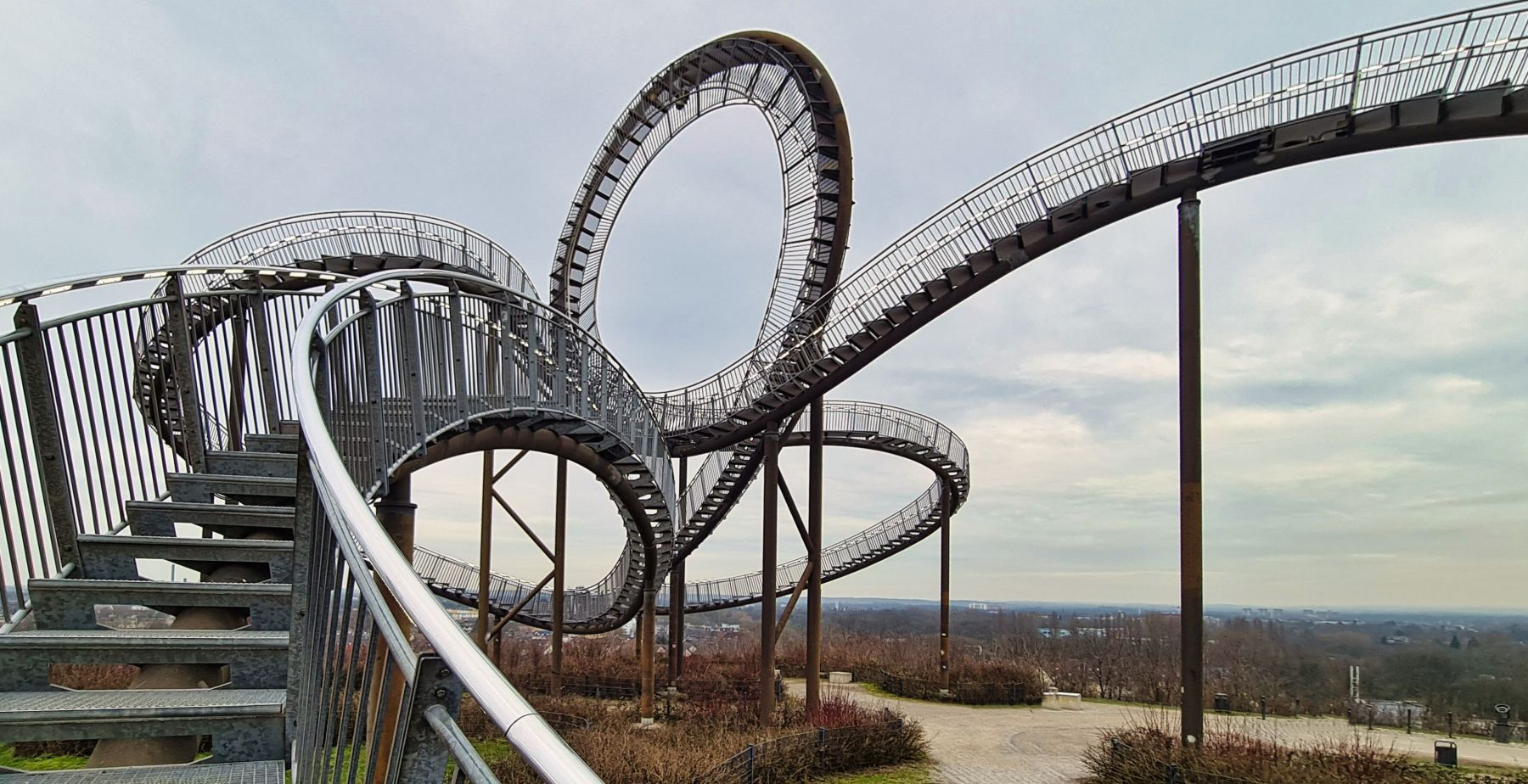 Tiger and Turtle
