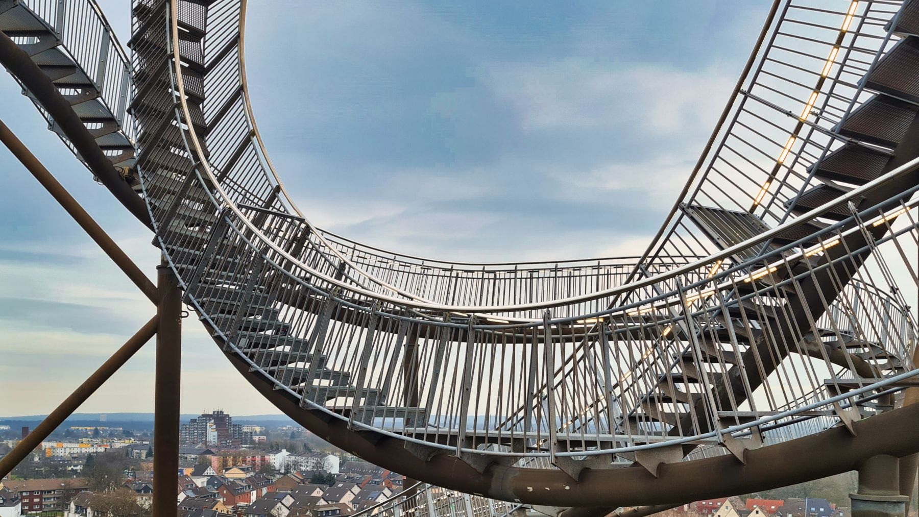 Tiger and Turtle