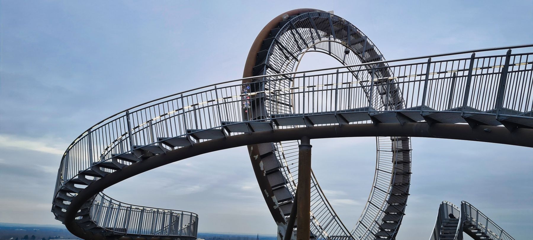 Tiger and Turtle