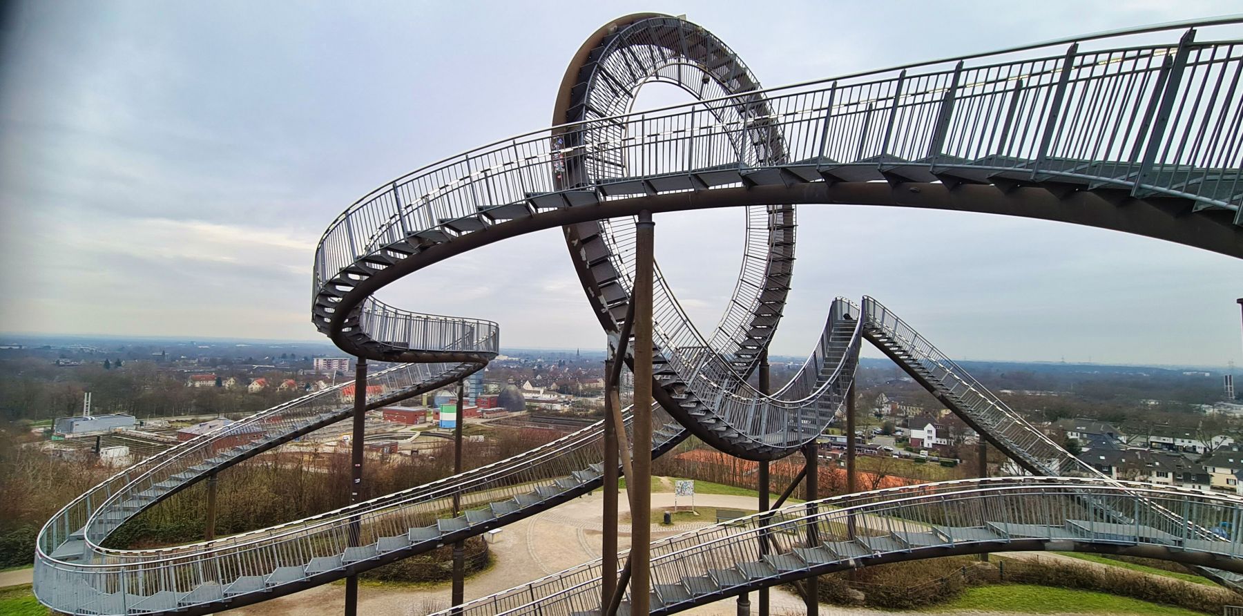 Tiger and Turtle
