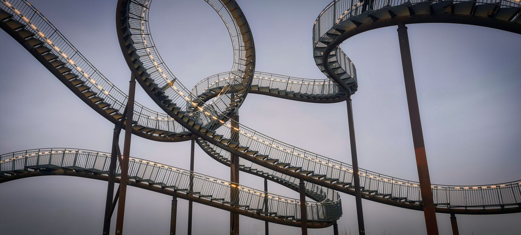 Tiger and Turtle