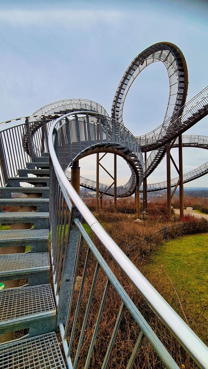 Tiger and Turtle