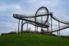 Tiger and Turtle