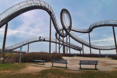 Tiger and Turtle