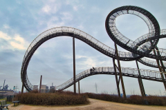 Tiger and Turtle