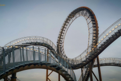 Tiger and Turtle