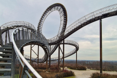 Tiger and Turtle