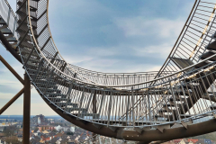 Tiger and Turtle