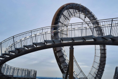 Tiger and Turtle