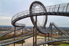 Tiger and Turtle