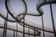 Tiger and Turtle