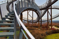 Tiger and Turtle