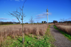 Fernmeldeturm Recklinghausen