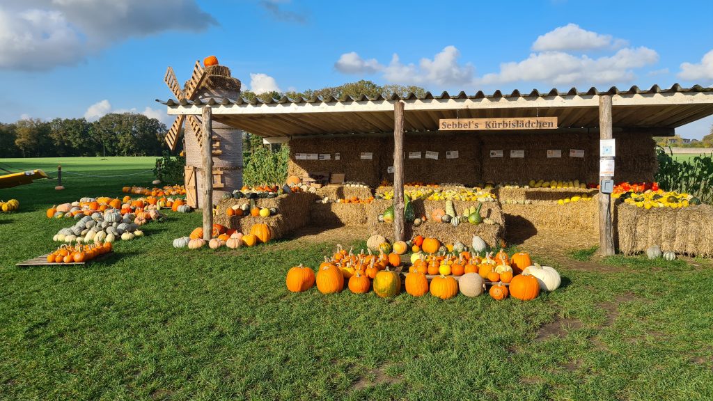 Kürbisverkauf an der Kökelsumer Straße in Olfen